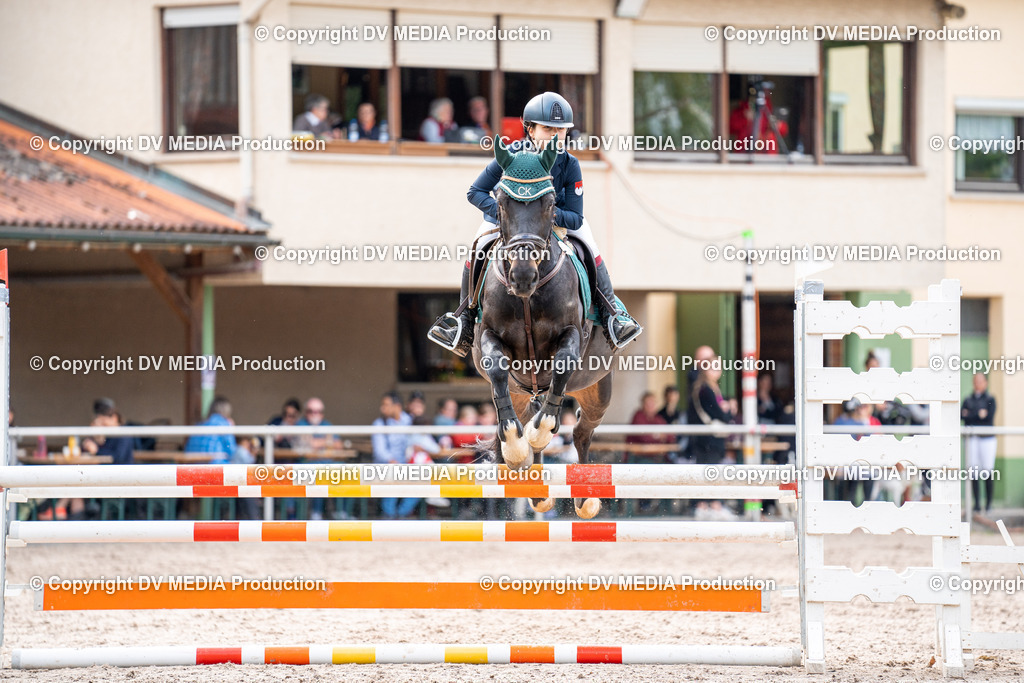 Eppelheim Tag 2-529 | dv-media-shop - Realisiert mit Pictrs.com