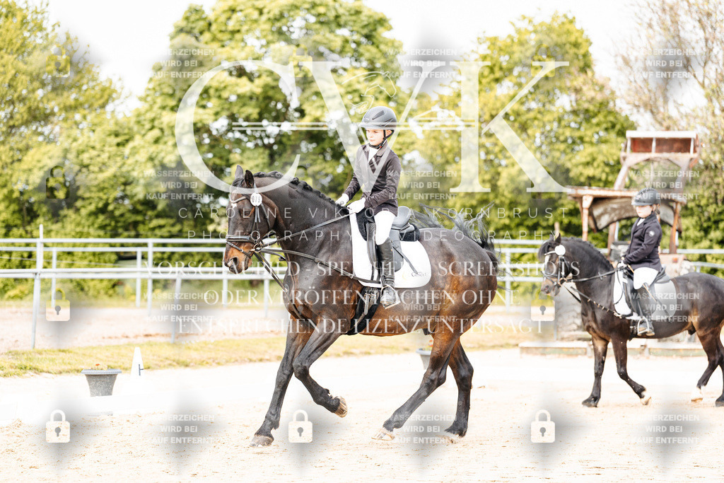 CK904343 | Turnierfotografie Pferdefotografie Trier Rheinland-Pfalz Pferdesport Reitsport Tierfotografie Sportfotografie Pferdevideo Pferdevideografie Equestrianvideography equestrianphotography  - Realisiert mit Pictrs.com