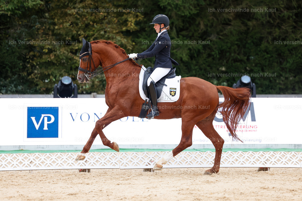 04_2-223-Dressur M__ -StoibPH-2960 | working equitationturnier fotograf videograf stoibphotography marixx film working equitation deutschland reitsport turnierfotografie eventfotografie equestrian events
