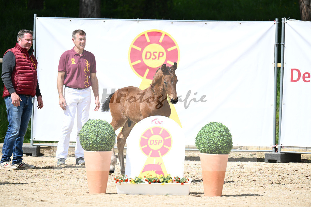 Va Bene x De Niro_HF_Eder_11240679 | hf-fotografie - Realisiert mit Pictrs.com