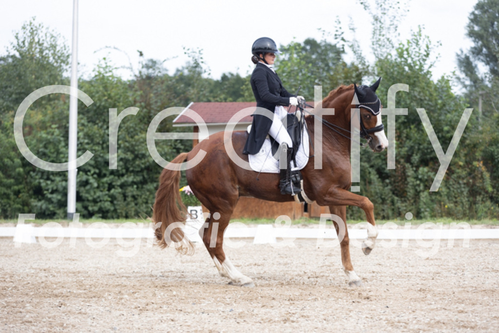 IMG_4791 | Creatify Fotografie