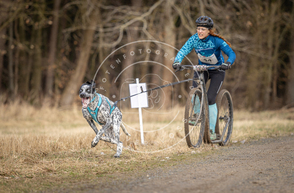 DV3A4651 | Hundefotografie, Tierfotograf, Pfotenfotografie, Fotoshooting Hund, Hunde Portrait, Hundesport, Hundeportraits, Heideshooting, Hunde, Sportfotograf, Hundefotograf, Turnierhundsport, THS,  - Realisiert mit Pictrs.com