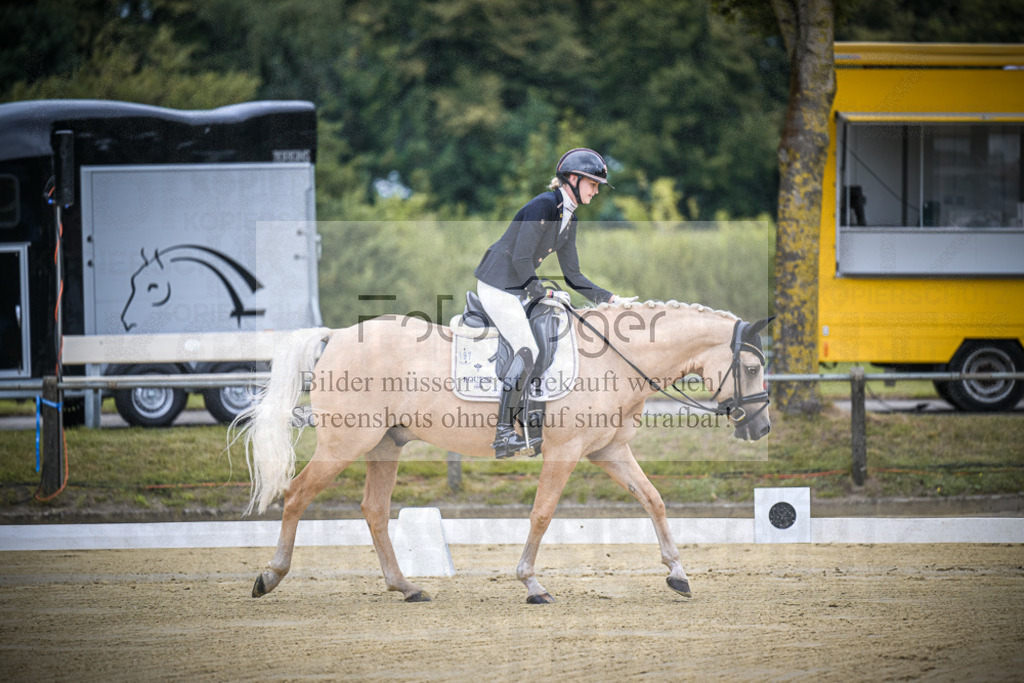 DOS_5432 | Entdecke hochwertige Reitturnierfotos von Foto Oger. Professionell, emotional und authentisch – jetzt Lieblingsmomente im Shop bestellen.Deutschlandweite Turnierfotografie. - Realisiert mit Pictrs.com