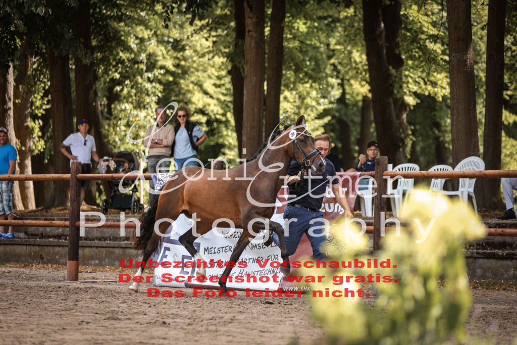 SoER00133 | Leoni Ertmer Photography - Realisiert mit Pictrs.com