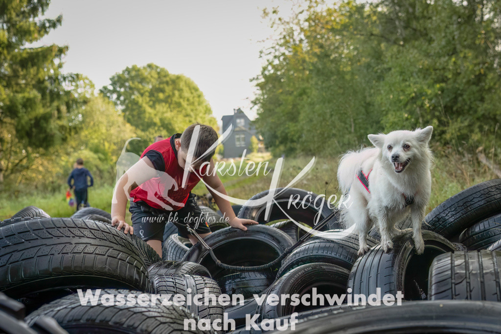1032_ZZ94684-Bearbeitet-2 | kk-dogfotos