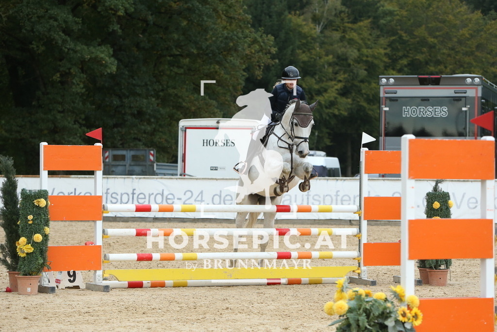 DL2Q7732 | Willkommen bei Brunnmayr - Design & Fotografie – Ihrem Spezialisten für Reitturniere und Pferdeveranstaltungen in Oberösterreich, Salzburg und Bayern! Seit über 17 Jahren sind wir leidenschaftlich dabei.