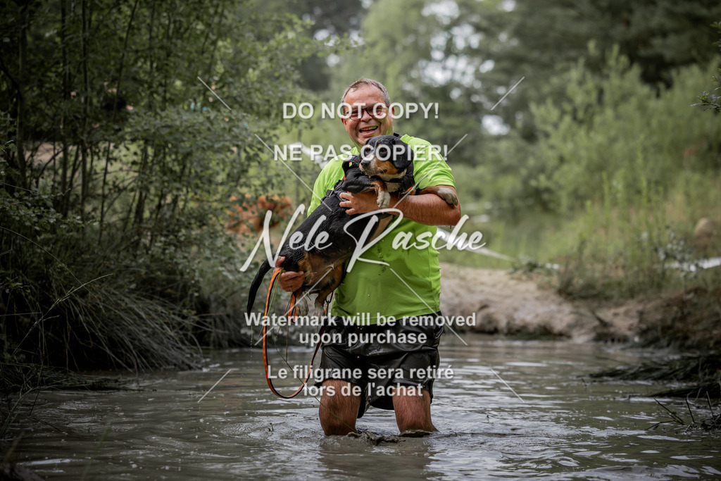 nelerasche_so0800-0930_166 | nelerasche