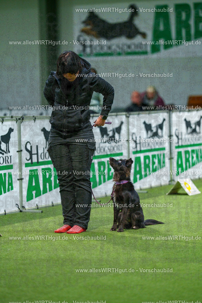 7R505760 | Professionelle Tierfotografie in Mönchengladbach von Daniel Wirth (allesWIRTHgut). Liebevolle & natürliche Bilder von Hunden & Katzen für unvergessliche Erinnerungen.