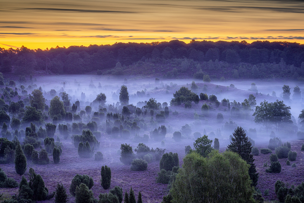 Totengrund im Nebel | Wandbilder - Florian Läufer - Realisiert mit Pictrs.com