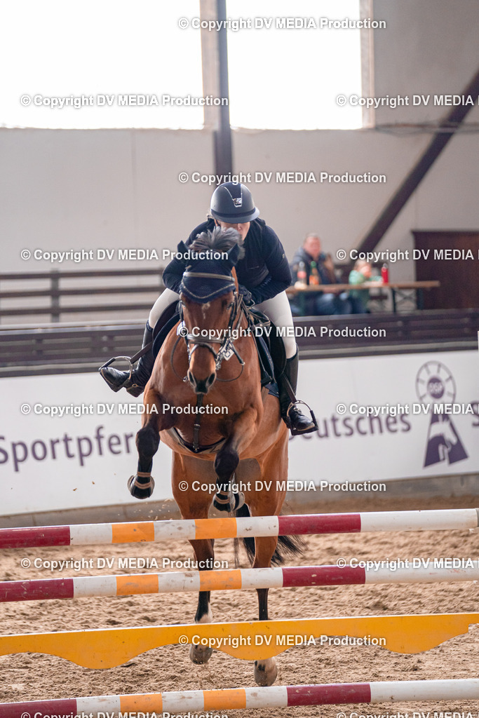 Kranichstein Tag 3-801 | dv-media-shop - Realisiert mit Pictrs.com