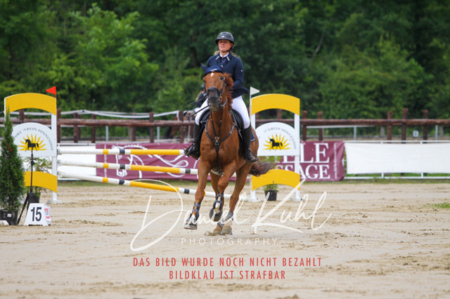 DKP41863 | Turniersportfotografie; Pferdefotografie; Dressurfotografie