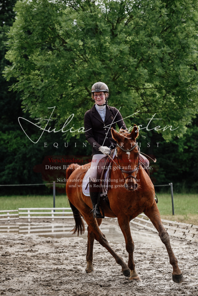 DSC_9667 | Pferde- und Turnierfotografie in Westsachsen. Pferdeportraits, Auftragszeichnungen und intuitive Kunst.