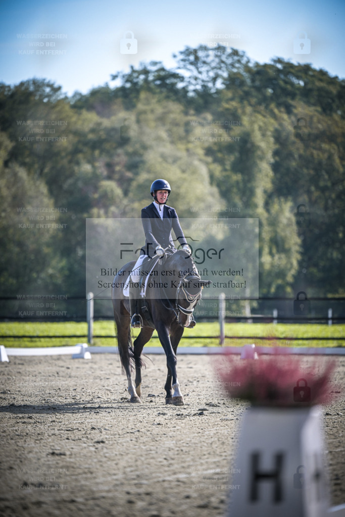 DOS_0555 | Entdecke hochwertige Reitturnierfotos von Foto Oger. Professionell, emotional und authentisch – jetzt Lieblingsmomente im Shop bestellen. - Realisiert mit Pictrs.com