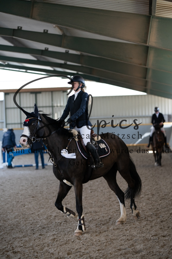 A7V08268 | Pferdefotograf