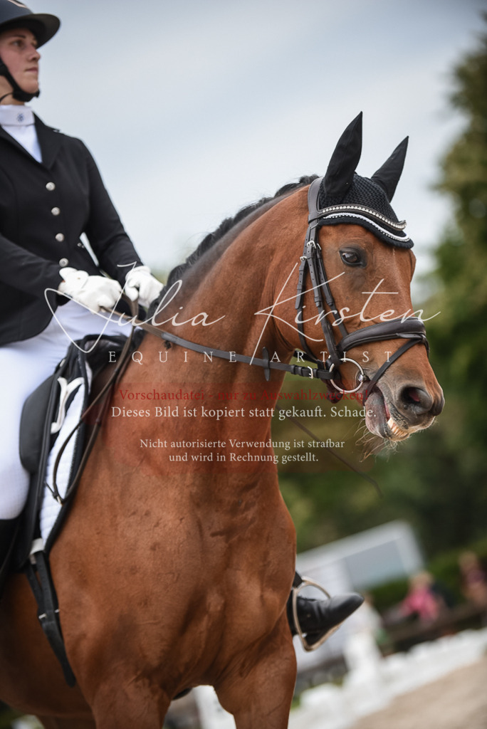 DSC_7978 | Pferde- und Turnierfotografie in Westsachsen. Pferdeportraits, Auftragszeichnungen und intuitive Kunst.