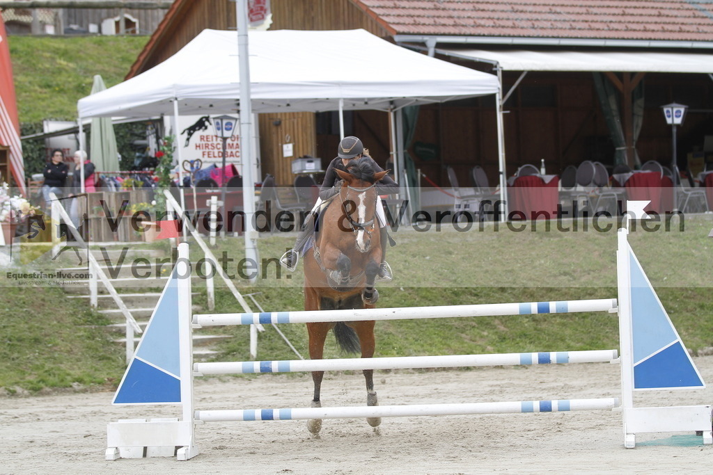 _MG_2864 | equestrian-live-com