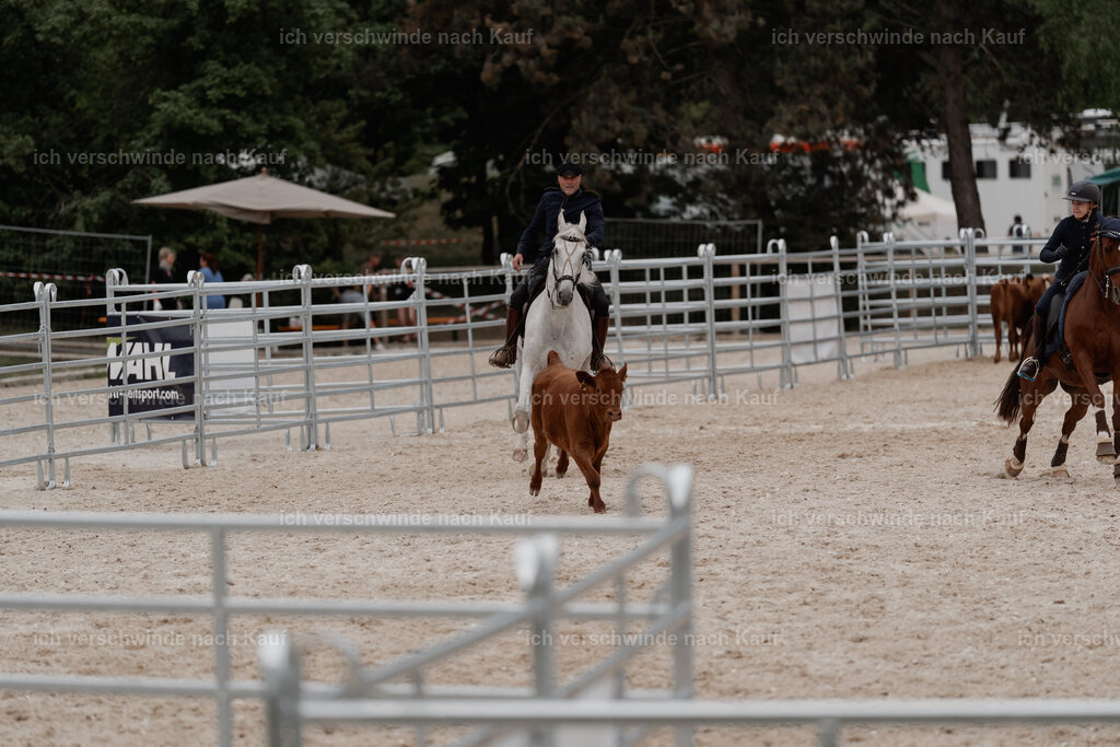 WE__Stoib_Rinder_PI2025_3160 | Pferd International München 2025