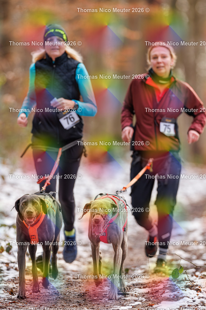 Thomas_Nico_Meuter(C)_223A9144 | Bild von Thomas Nico Meuter - Realisiert mit Pictrs.com