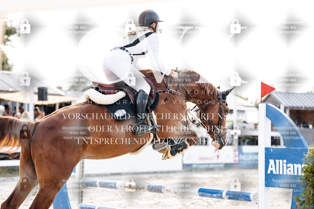CK906941 | Turnierfotografie Pferdefotografie Trier Rheinland-Pfalz Pferdesport Reitsport Tierfotografie Sportfotografie Pferdevideo Pferdevideografie Equestrianvideography equestrianphotography  - Realisiert mit Pictrs.com