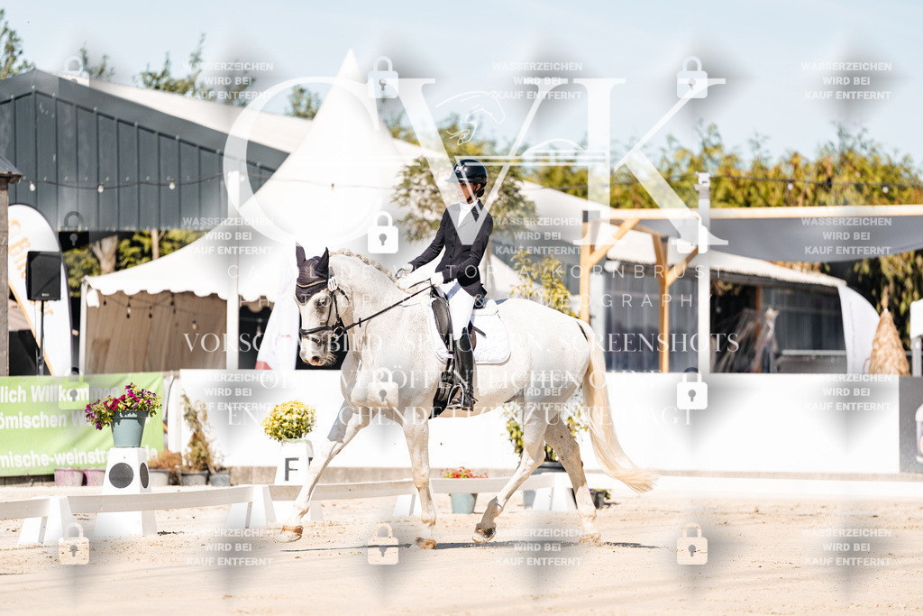 CK908916 | Turnierfotografie Pferdefotografie Trier Rheinland-Pfalz Pferdesport Reitsport Tierfotografie Sportfotografie Pferdevideo Pferdevideografie Equestrianvideography equestrianphotography  - Realisiert mit Pictrs.com