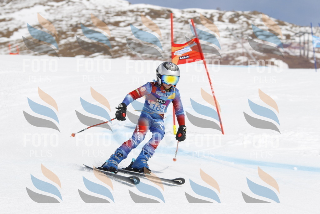 _U3G1876 | holidayphoto