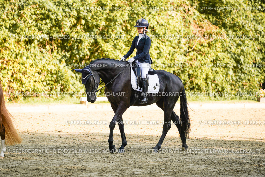 DSC06376 | Pferdegrafie