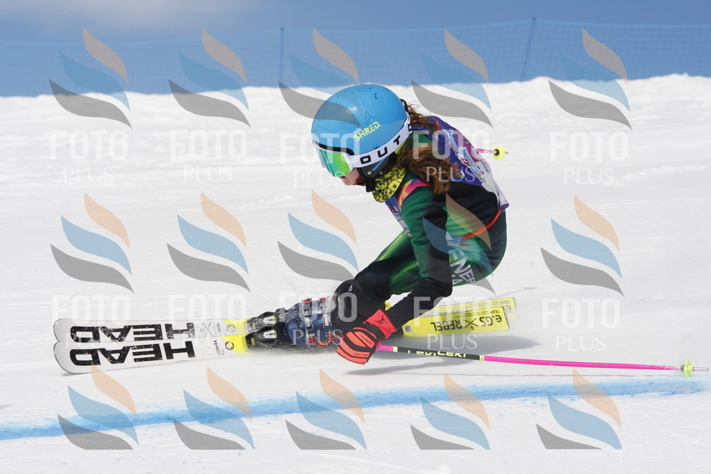 _W1G0728 | holidayphoto