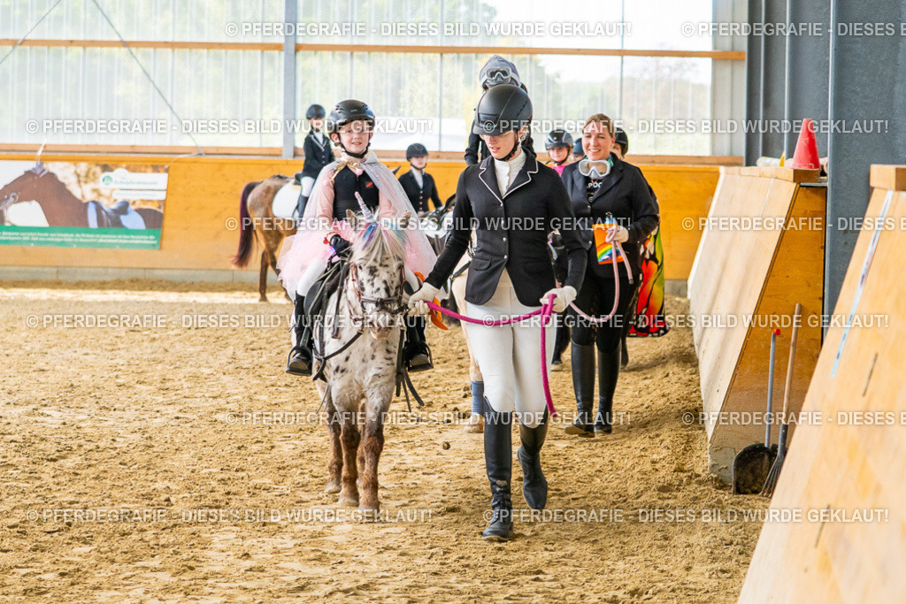 DSC00868 | Pferdegrafie