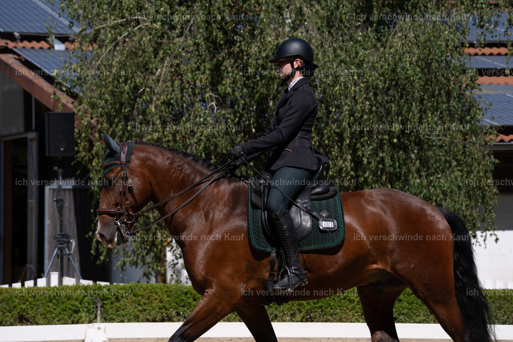 __105_sinafilmart_IN07903 | working equitationturnier fotograf videograf stoibphotography marixx film working equitation deutschland reitsport turnierfotografie eventfotografie equestrian events