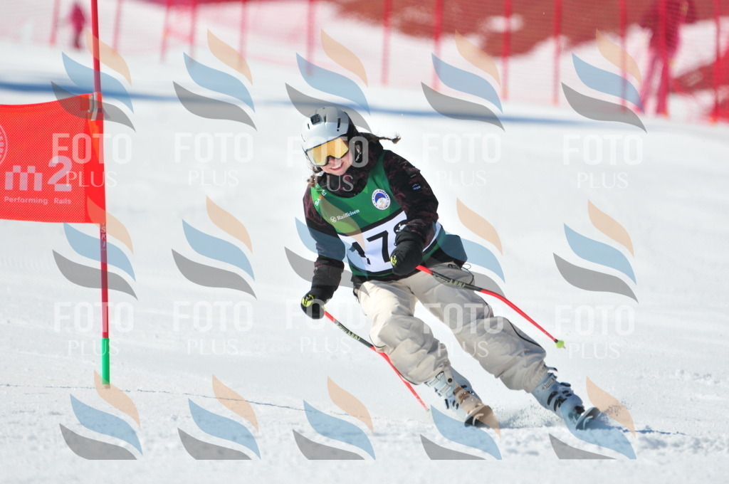 C4270 | holidayphoto