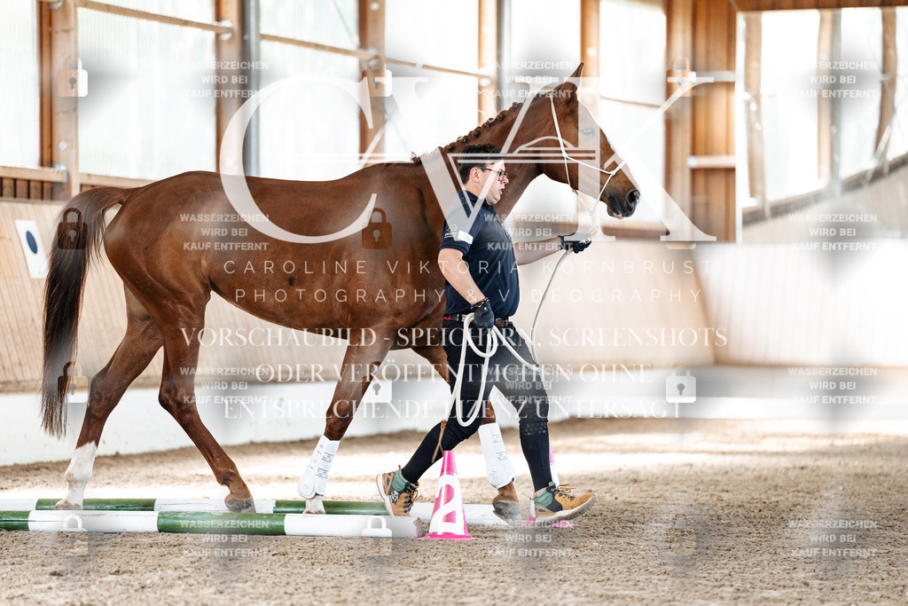 CK905837 | Turnierfotografie Pferdefotografie Trier Rheinland-Pfalz Pferdesport Reitsport Tierfotografie Sportfotografie Pferdevideo Pferdevideografie Equestrianvideography equestrianphotography  - Realisiert mit Pictrs.com
