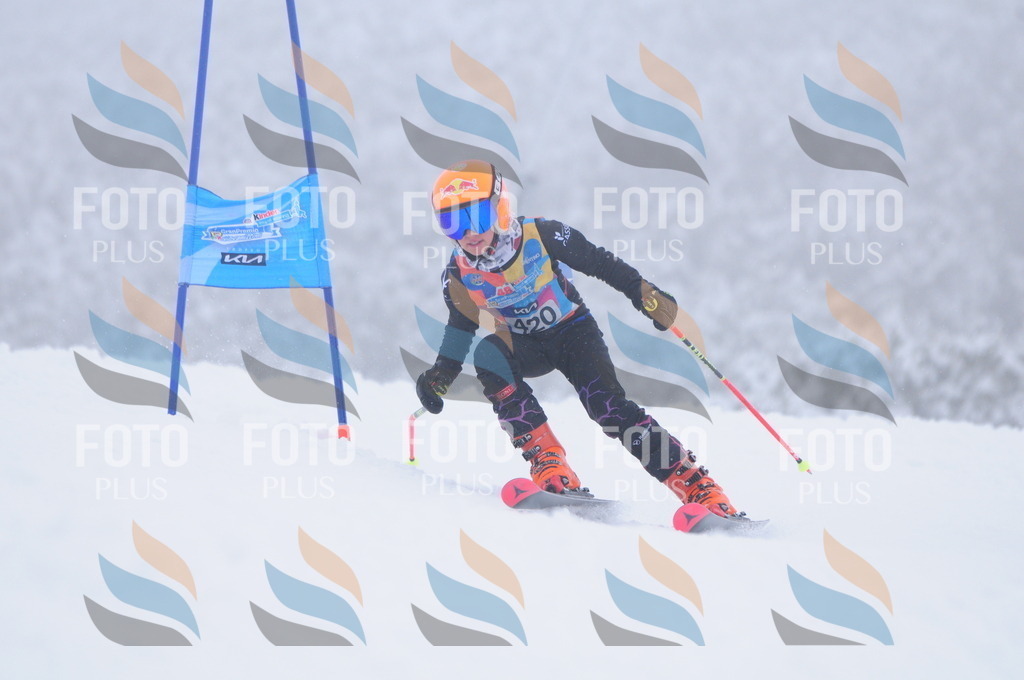 C3421 | holidayphoto