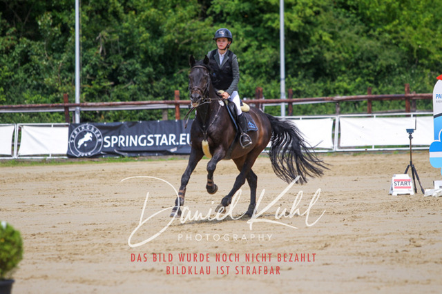 DKP41599 | Turniersportfotografie; Pferdefotografie; Dressurfotografie