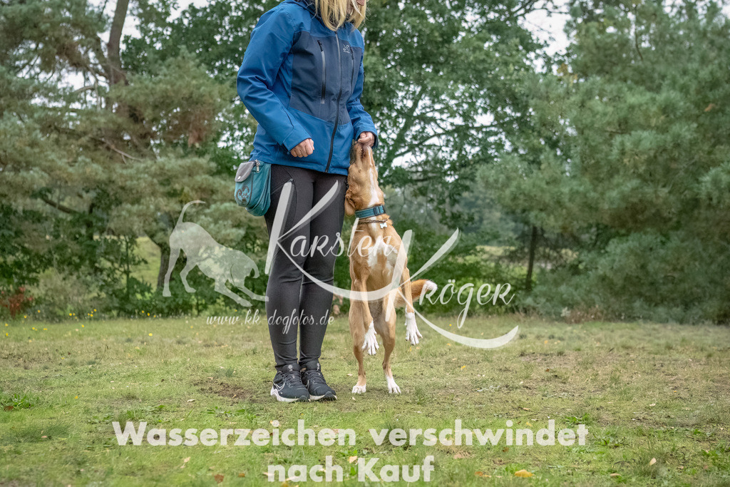 1516_ZZ94726-2-Bearbeitet | kk-dogfotos