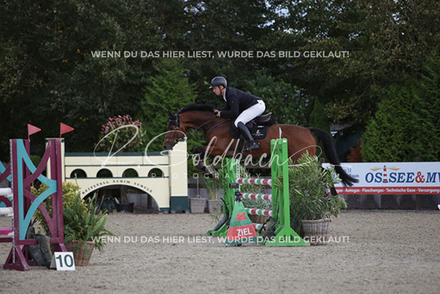 1J2A9762Klas-Kristoff Kudlinski_ Steendieks Catching Fire BE_ Kn914_ Havekost | Foto- und Videografie für alles rund ums Pferd. Hochwertige Bilder und Videos vom Spring- und Dressurreiten, Voltigieren & mehr. Jetzt aktuelle Veranstaltungen und Preise im Shop ansehen. - Realisiert mit Pictrs.com