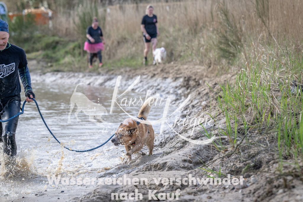 1022_ZZ94912 | kk-dogfotos