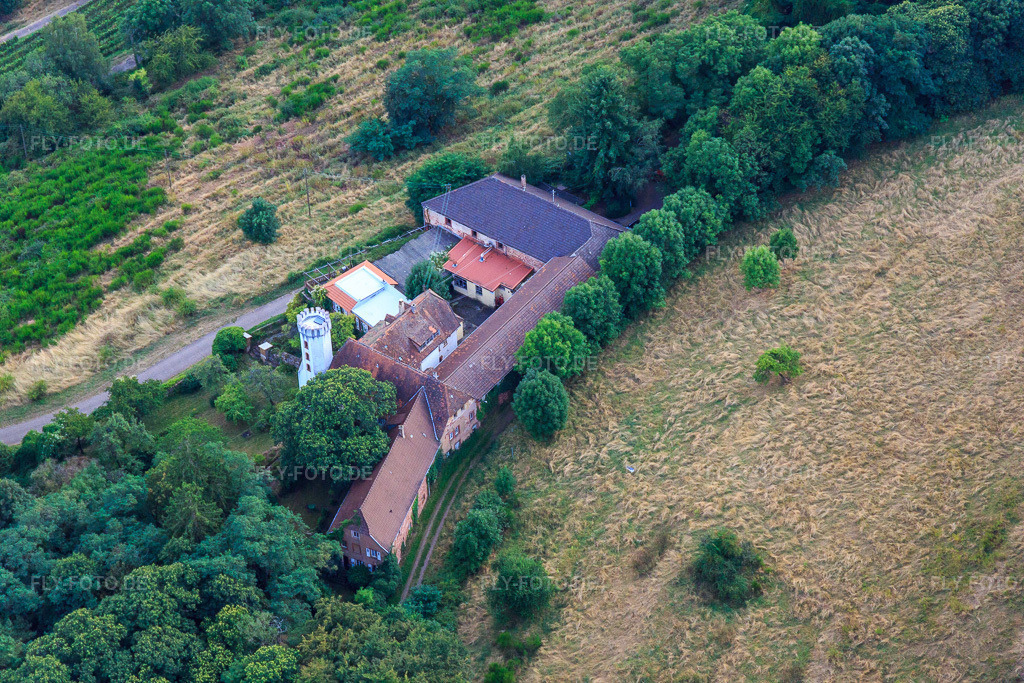Luftbild: Slevogthof Neukastel in Leinsweiler im Bundesland Rheinland-Pfalz in Deutschland. Foto: IMG_094594.jpg vom 02.09.2016 durch Werner Riehm/FLY-FOTO.de