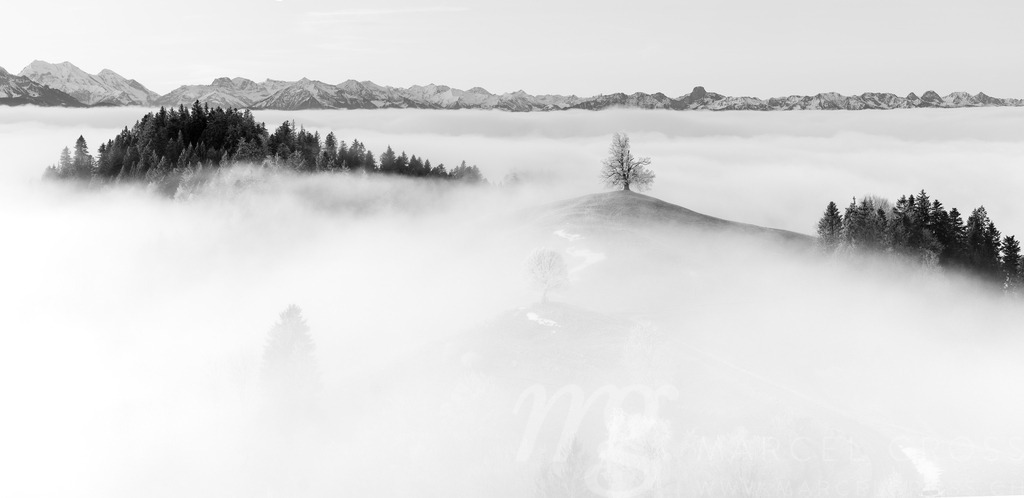20241130-Emmental-92-Pano | Die ideale Geschenkidee für Naturliebhaber. Naturbilder von Marcel Gross Photography für ihr Zuhause in den verschiedensten Formaten und Materialien. - Realisiert mit Pictrs.com
