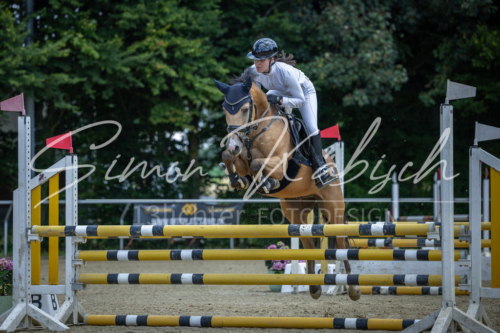 20260704-_3LI9304 | Tierfotografie Pferde, Hunde, Katzen, Haustiere.
Turnierfotografie Reitturniere, Reiten, Springreiten, Dressur in Hanau, dem Main-Kinzig-Kreis und dem Rhein-Main- Gebiet um Frankfurt
