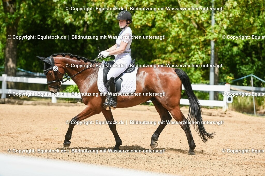 20230715_02_Dressurreiterprüfung Kl.L_0200 | equistock