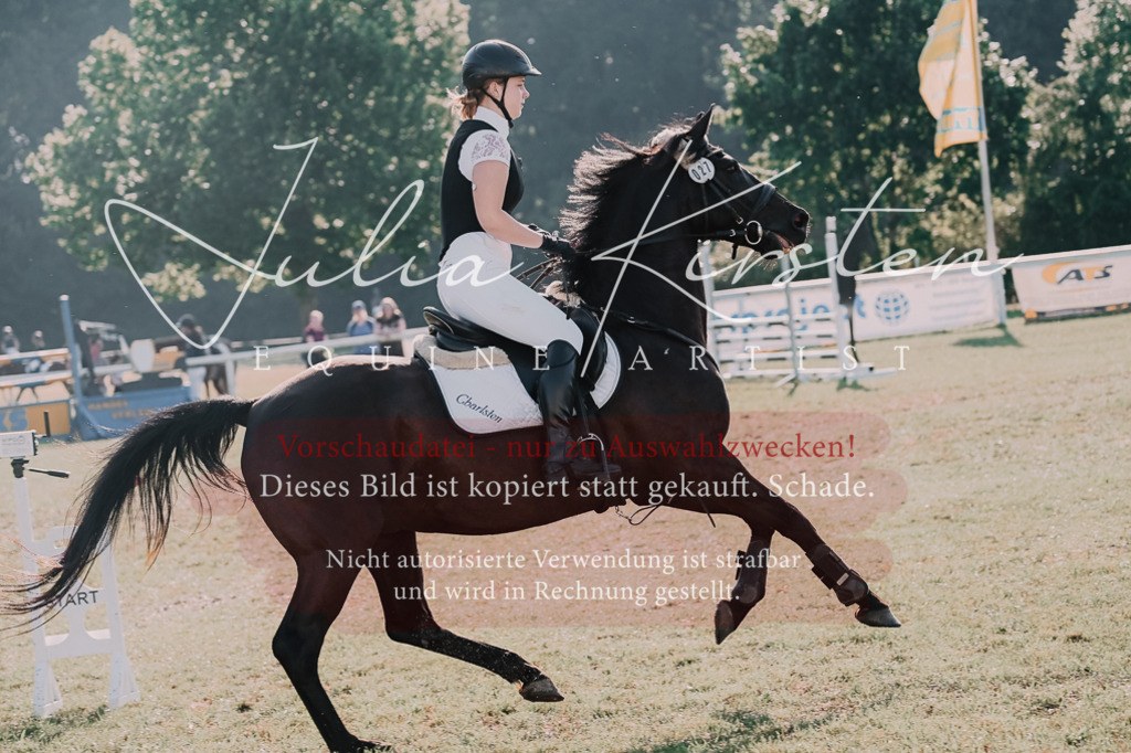 DSC_4517 | Pferde- und Turnierfotografie in Westsachsen. Pferdeportraits, Auftragszeichnungen und intuitive Kunst.