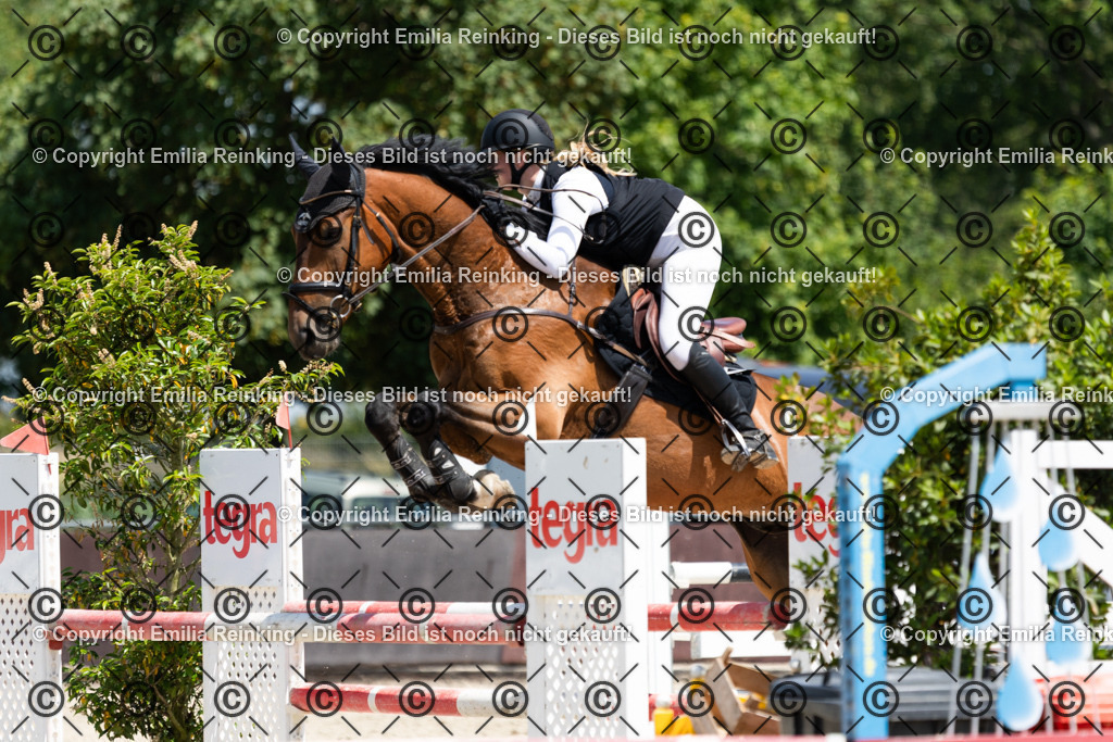 CL5A0605 | Emilia Reinking Fotografie - Realisiert mit Pictrs.com