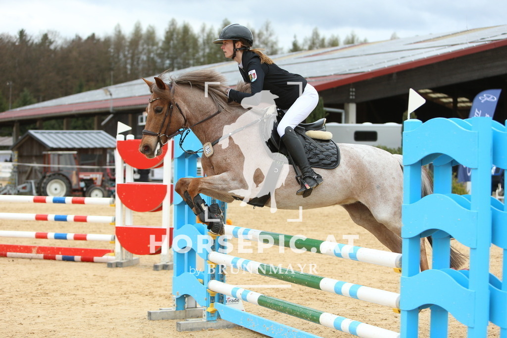 DL2Q2616 | Willkommen bei Brunnmayr - Design & Fotografie – Ihrem Spezialisten für Reitturniere und Pferdeveranstaltungen in Oberösterreich, Salzburg und Bayern! Seit über 17 Jahren sind wir leidenschaftlich dabei.