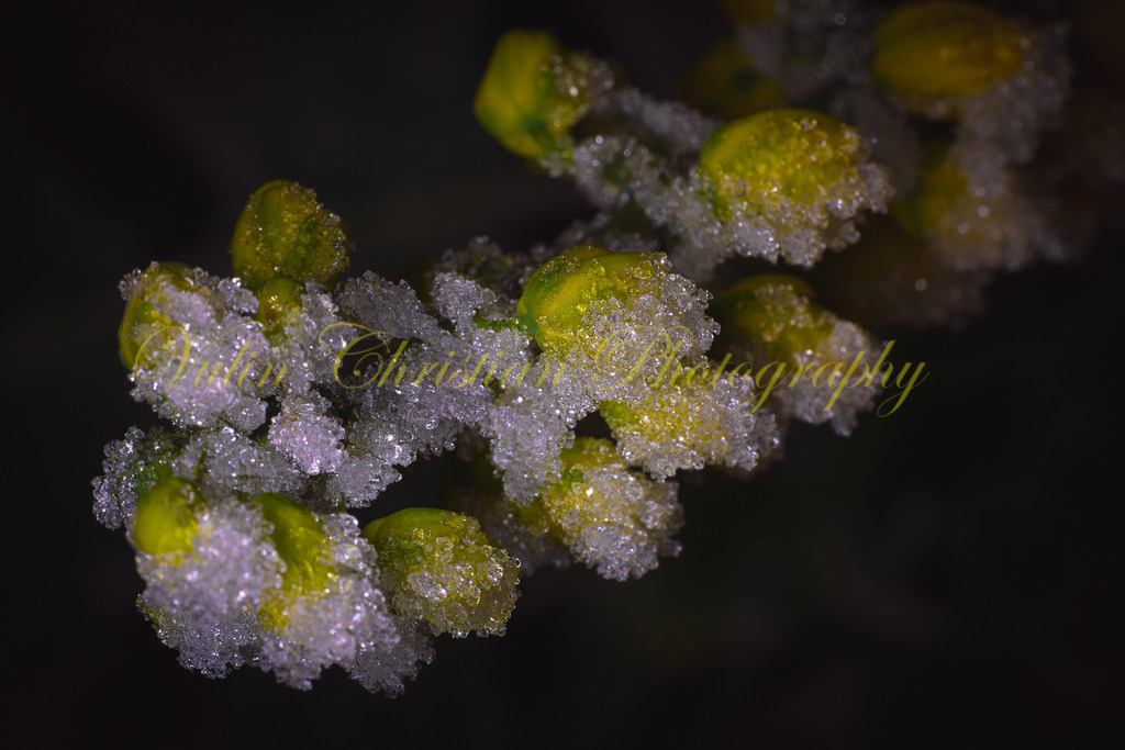 MN 38p | Christian Vulin  - Realisiert mit Pictrs.com