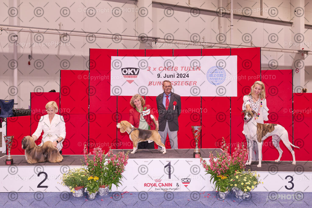 202406_ÖKV-IHA-Tulln24_NZ9_9589 | proPHOTO - Realisiert mit Pictrs.com