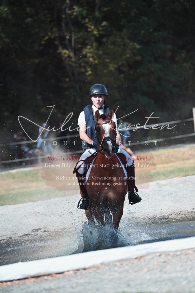DSC_8819 | Pferde- und Turnierfotografie in Westsachsen. Pferdeportraits, Auftragszeichnungen und intuitive Kunst.