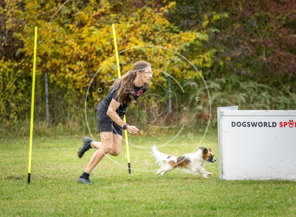 Pfotenfotografie_DV3A0749 | Hundefotografie, Tierfotograf, Pfotenfotografie, Fotoshooting Hund, Hunde Portrait, Hundesport, Hundeportraits, Heideshooting, Hunde, Sportfotograf, Hundefotograf, Turnierhundsport, THS,  - Realisiert mit Pictrs.com