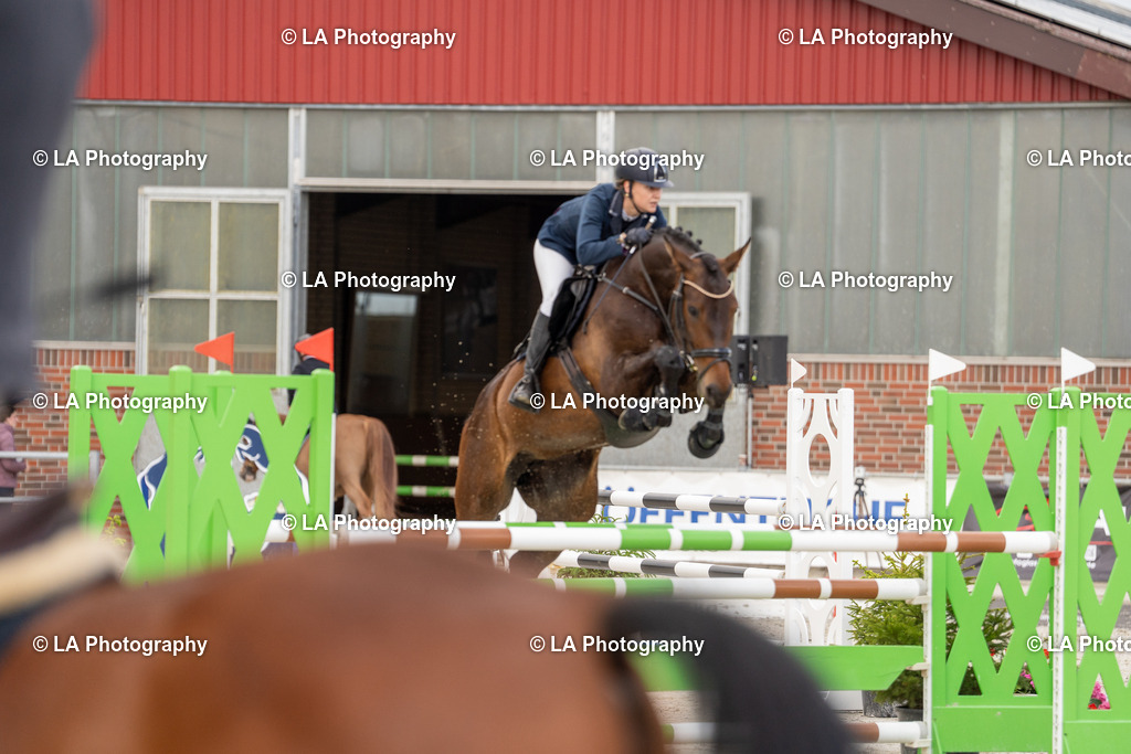 DSC03528 | Entdecke einzigartige Turnierfotos und persönliche Pferde- und Hundeportraits bei LA Photography. Für jeden Reiter und Pferd das perfekte Bild! Stöbere jetzt! - Realisiert mit Pictrs.com