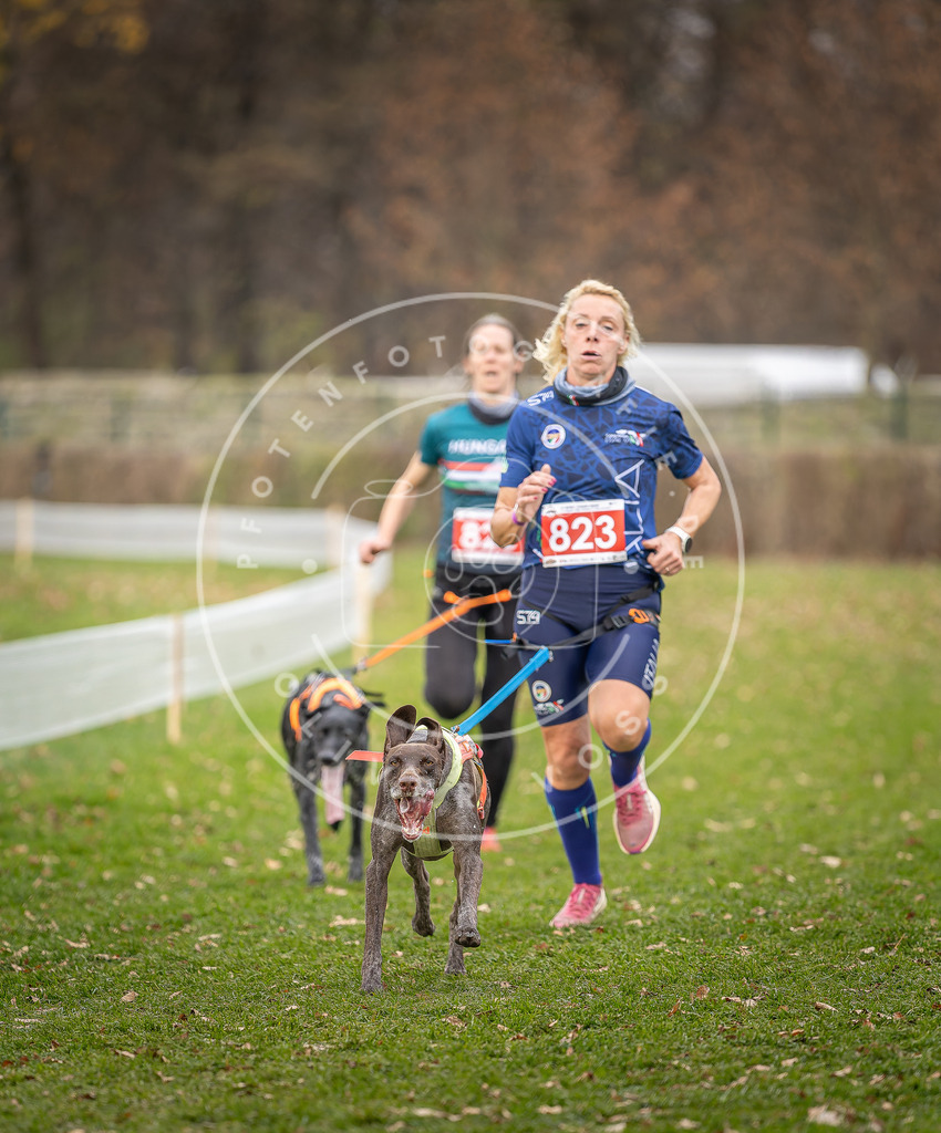 CaniXpix_DV3A6417 | Hundefotografie, Tierfotograf, Pfotenfotografie, Fotoshooting Hund, Hunde Portrait, Hundesport, Hundeportraits, Heideshooting, Hunde, Sportfotograf, Hundefotograf, Turnierhundsport, THS,  - Realisiert mit Pictrs.com