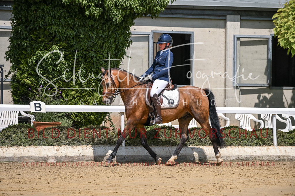 Schugtsche-Aluta25-53.Amat.Dressurprf.A2-405 | Schugtsche Fotografie - Realisiert mit Pictrs.com